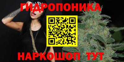 кокс Гусиноозёрск
