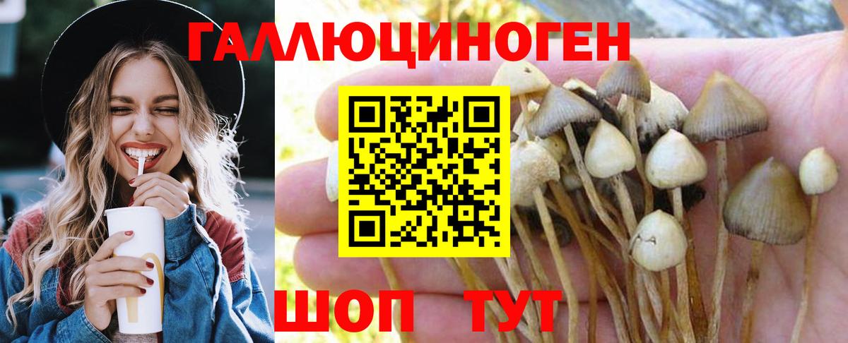 Галлюциногенные грибы MAGIC MUSHROOMS  продажа наркотиков  Жигулёвск  Галлюциногенные грибы Cubensis  Вход с VPN 