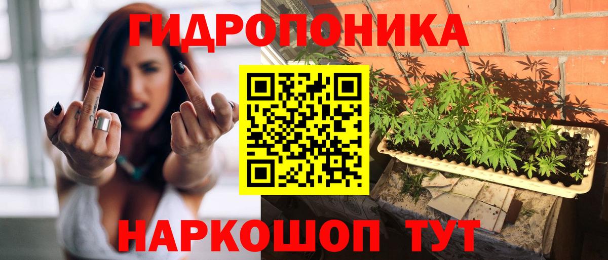 Бошки Шишки Bruce Banner Жигулёвск